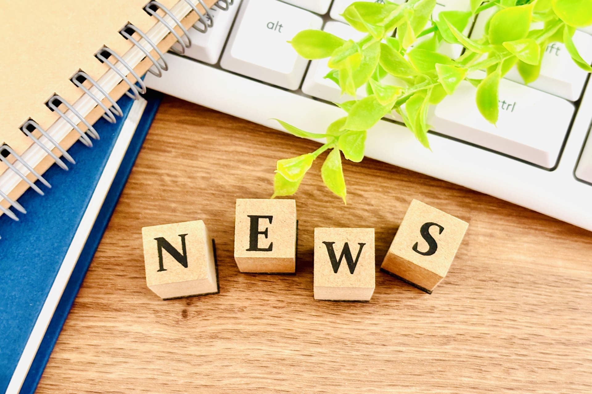 【最新ニュース解説】特定技能制度の新方針が決定|企業が押さえるべき直近のポイント